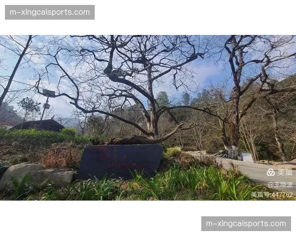 云南玉昆憾负海港仍居第三 二年级生展现持续竞争力 云南玉昆憾负海港仍居第三 二年级生展现持续竞争力