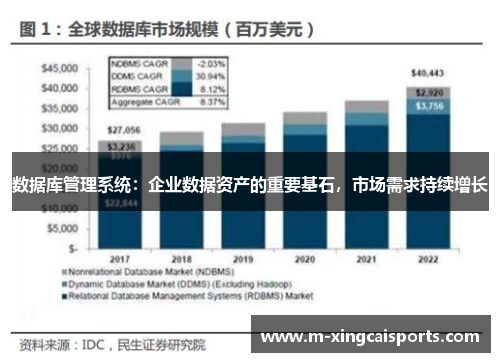 数据库管理系统：企业数据资产的重要基石，市场需求持续增长